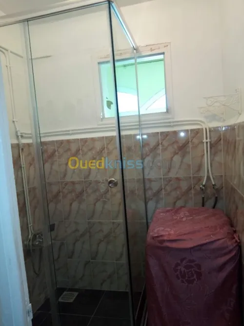 Cabine de douche en verre 