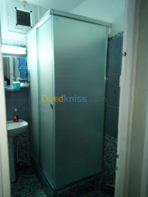 Cabine de douche en verre 