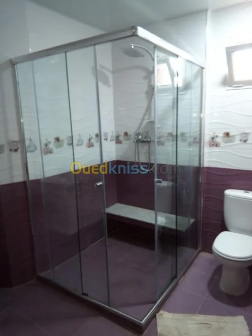 Cabine de douche en verre 