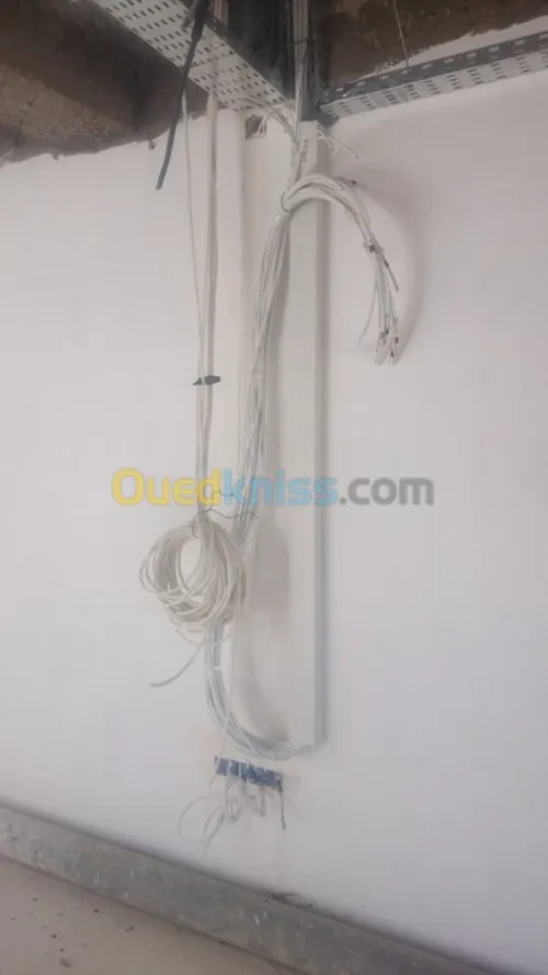 Installation  Réseau, Standard Télép