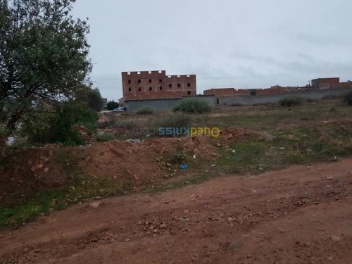 Vente Terrain Tlemcen Maghnia