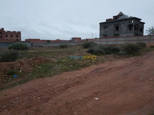 Vente Terrain Tlemcen Maghnia