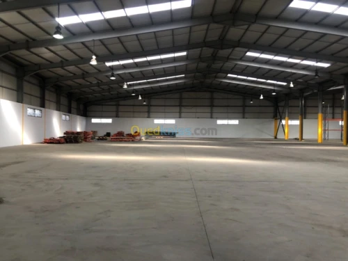 Location Hangar Alger Baraki