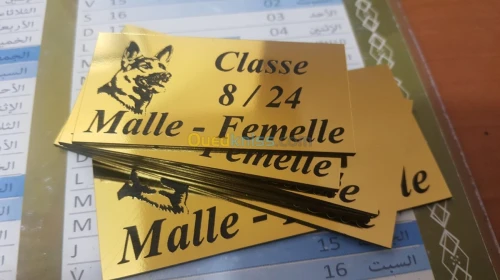Publicité