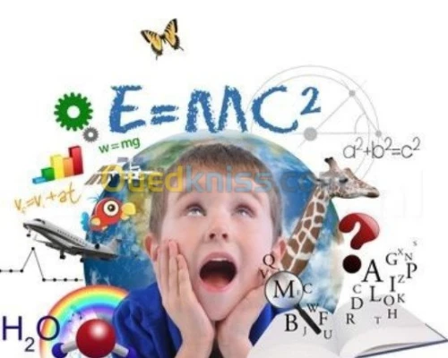 enseignement 