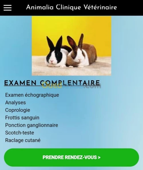 clinique vétérinaire 