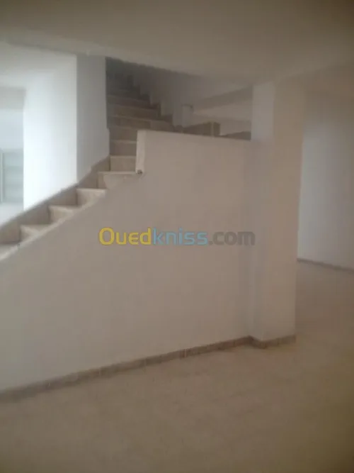 Location Local Alger Baba hassen