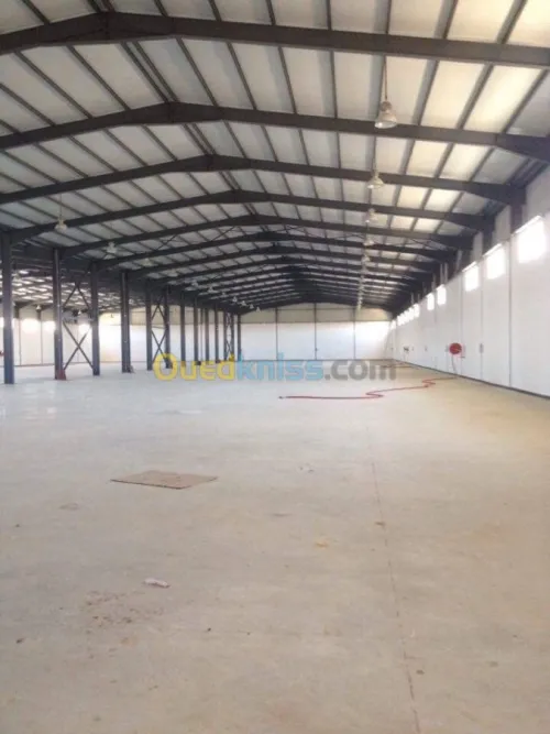 Location Hangar Alger Oued smar