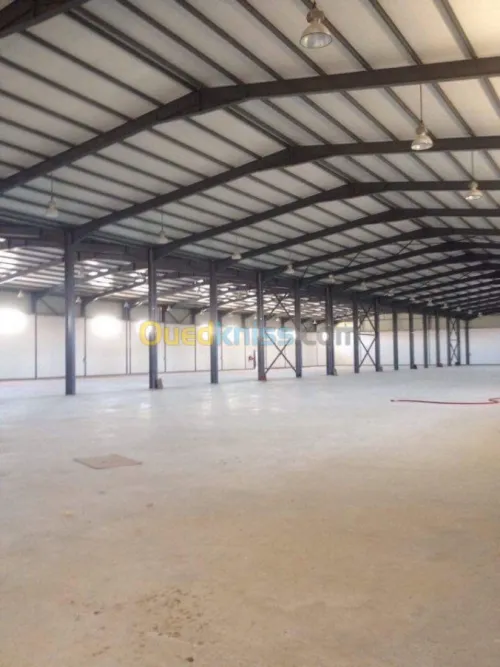 Location Hangar Alger Oued smar