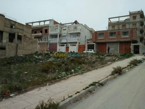 Vente Terrain Constantine El khroub