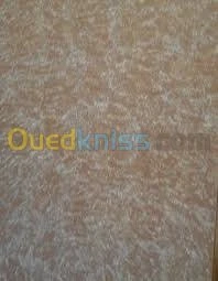 PEINTURE INTERIEUR / EXTERIEUR