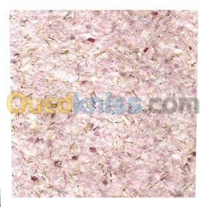 PEINTURE INTERIEUR / EXTERIEUR