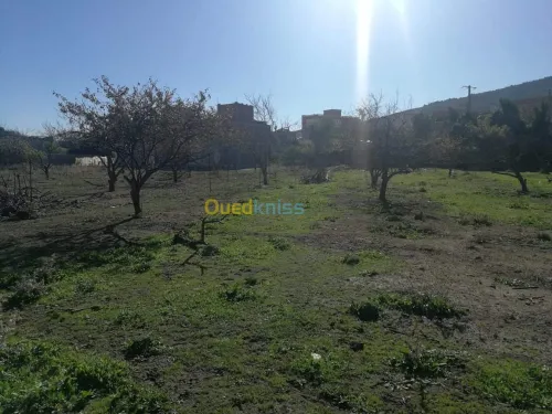 Vente Terrain Constantine Constantine