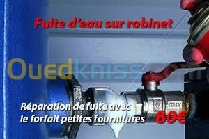 detecteur de fuite 24h7/7