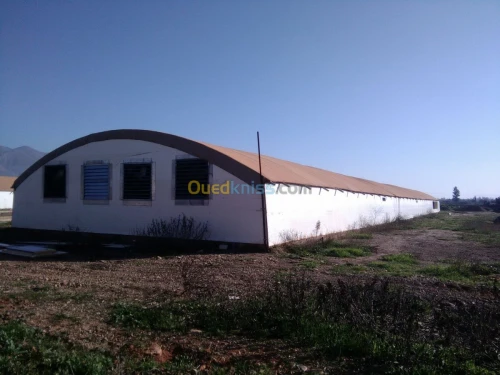 fabrication des hangar elévages