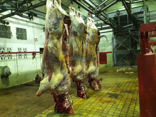 Distribution de viande rouge et VH