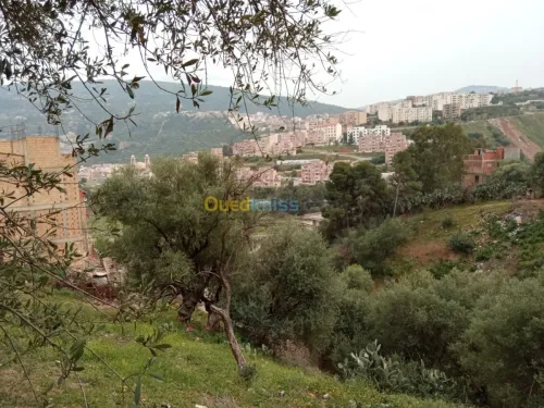 Vente Terrain Bejaia Sidi aich