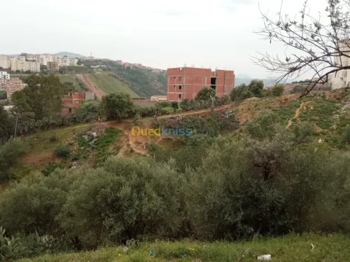 Vente Terrain Bejaia Sidi aich