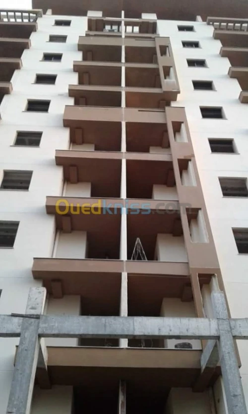 monocouche plâtre projeté placoplatre 