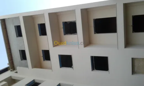 monocouche plâtre projeté placoplatre 