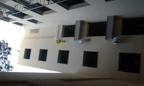 monocouche plâtre projeté placoplatre 