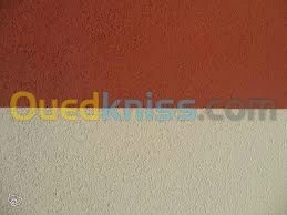 monocouche plâtre projeté placoplatre 