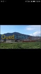 Vente Terrain Jijel Ouadjana