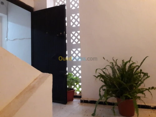 Vente Appartement F3 Tipaza Douaouda