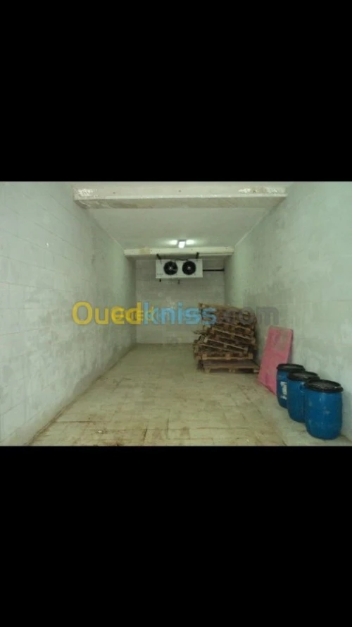 Location chambre froide 
