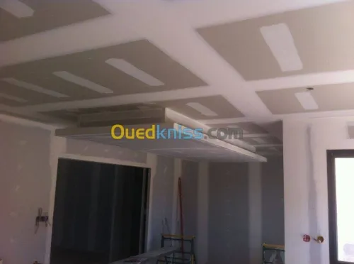 TRVAUX PEINTUR et PLACO PLATE 