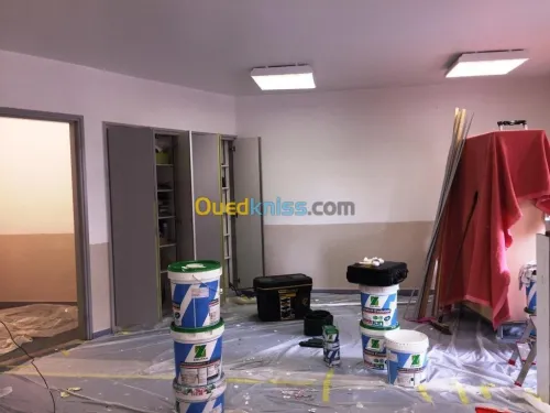 TRVAUX PEINTUR et PLACO PLATE 