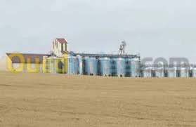 FUMIGATION - Traitement palette avec certificat