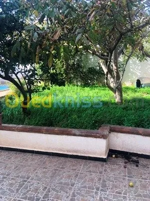 Location Villa Alger Bir mourad rais