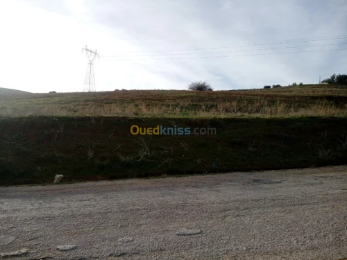 Vente Terrain Tlemcen Beni mester