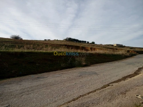 Vente Terrain Tlemcen Beni mester