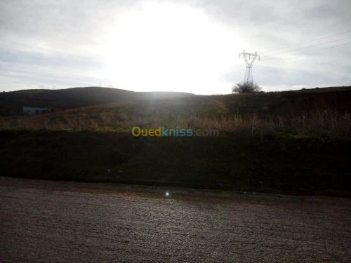 Vente Terrain Tlemcen Beni mester