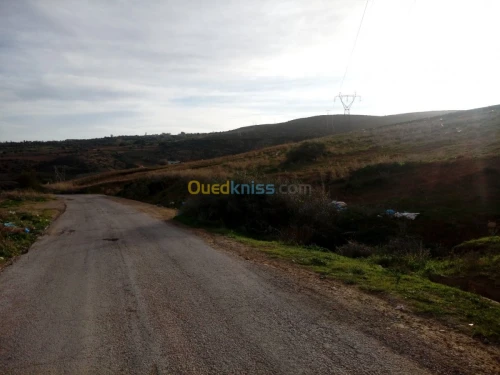 Vente Terrain Tlemcen Beni mester