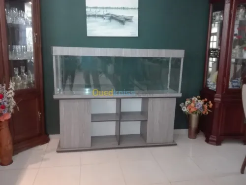 Aqua insaf 1m63