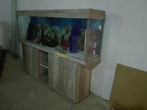 Aqua insaf 1m63