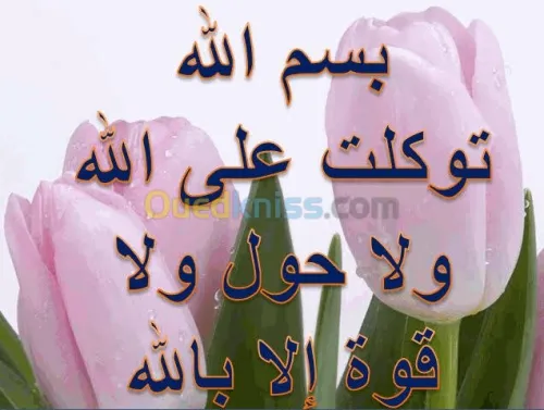 Revêtement en alucobond / murs rideaux