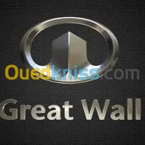 Suzuki kia Hyundai chevrolet cherry QQ