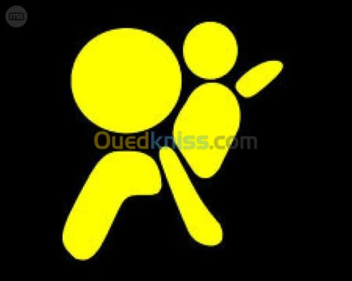 Scanner et réparation auto