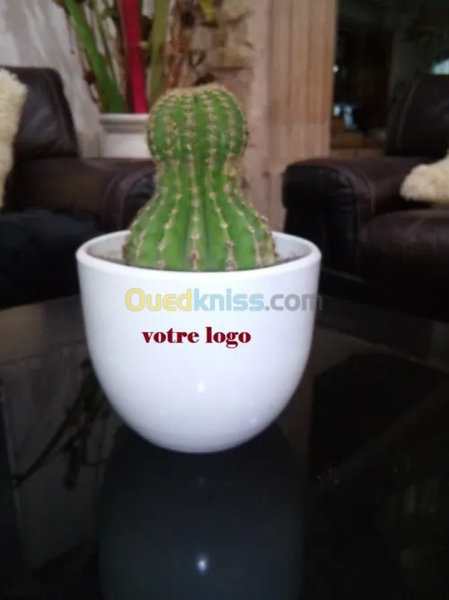 Cadeaux d'entreprise de fin d'année