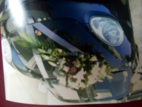 Decoration D'evenement 