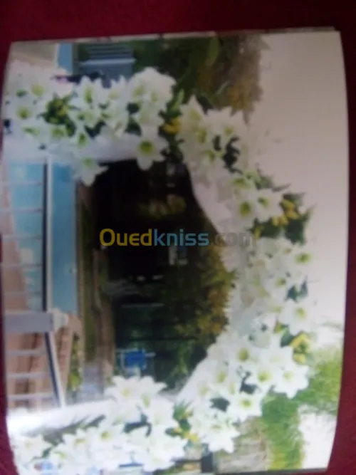Decoration D'evenement 