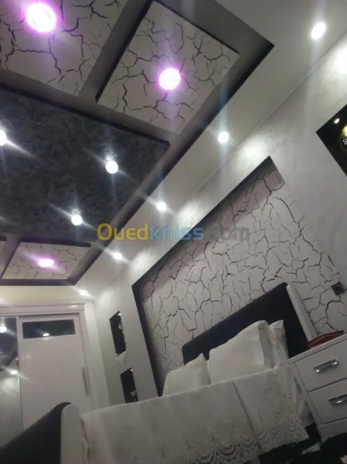 PLACOPLATRE DECORATION