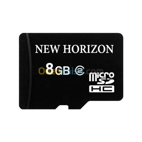 Carte Mémoire New Horizon 