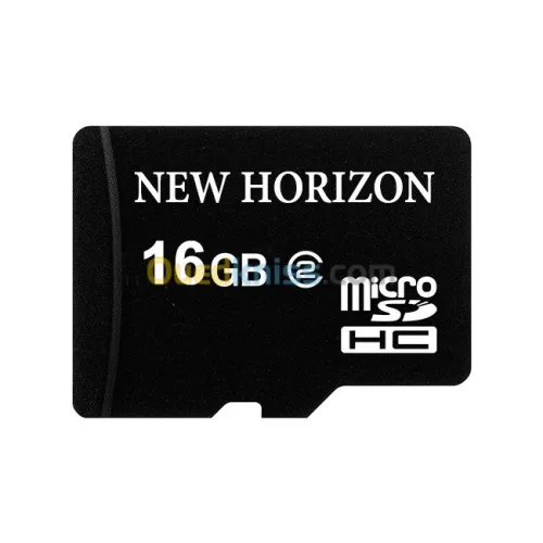 Carte Mémoire New Horizon 