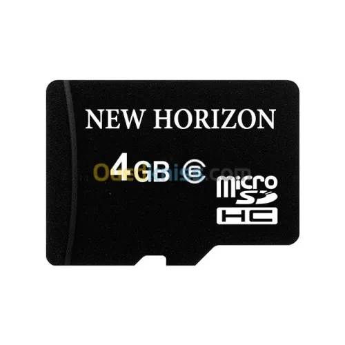 Carte Mémoire New Horizon 