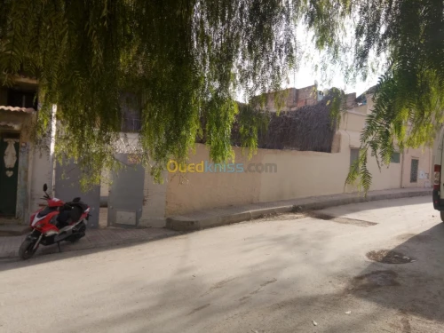 Vente Villa Tlemcen Tlemcen